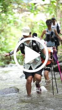 BIB:  <button type="button" onclick="openModal(26820950)" class="btn btn-primary btn-sm float-right" data-toggle="modal" data-target=".modal-high-quality">
                <i class="fa fa-download"></i> Download
                </button>